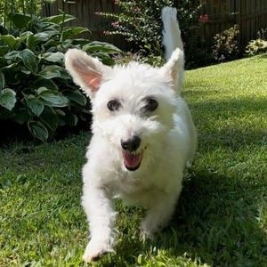 Meet your Posher, Janice